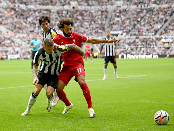 北京市青少 北京市青少