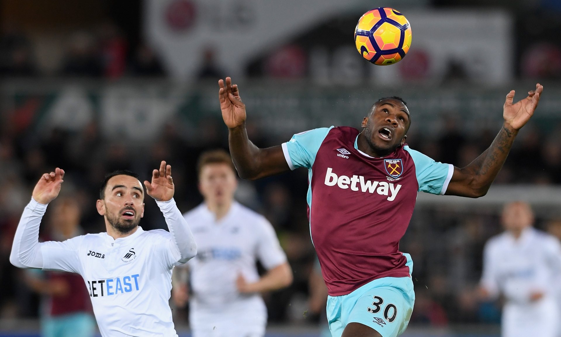 比锡的重要 比锡的重要